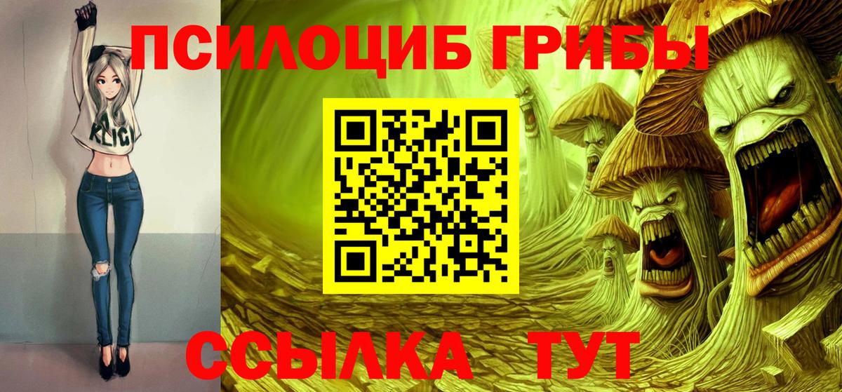 Псилоцибиновые грибы прущие грибы Вязьма
