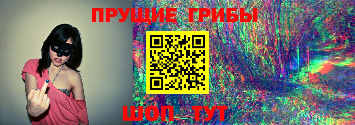 Вязьма  Псилоцибиновые грибы Magic Shrooms  Вход с VPN 
